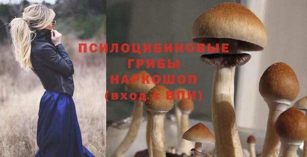 мдпв Нефтекумск