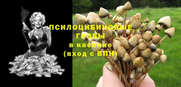 МДПВ Наволоки