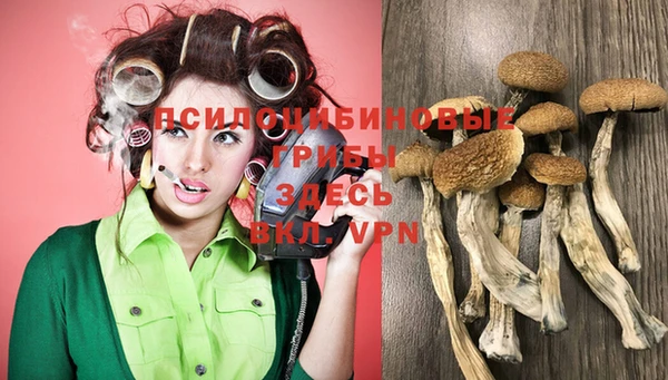 мдпв Нефтекумск