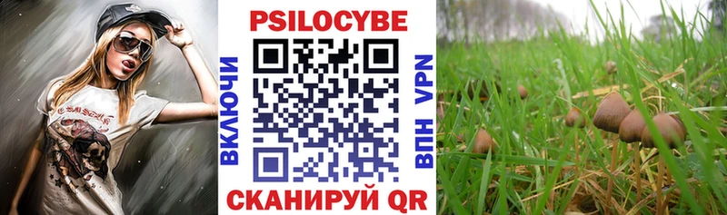 Псилоцибиновые грибы ЛСД  купить   Исилькуль 